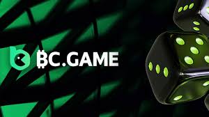 The Ultimate Guide to BC.Game Crypto Casino 1423004625