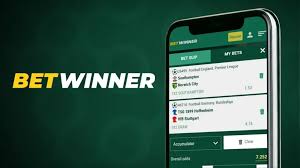 Comprehensive Guide to BetWinner Sportsbook Your Ultimate Betting Partner