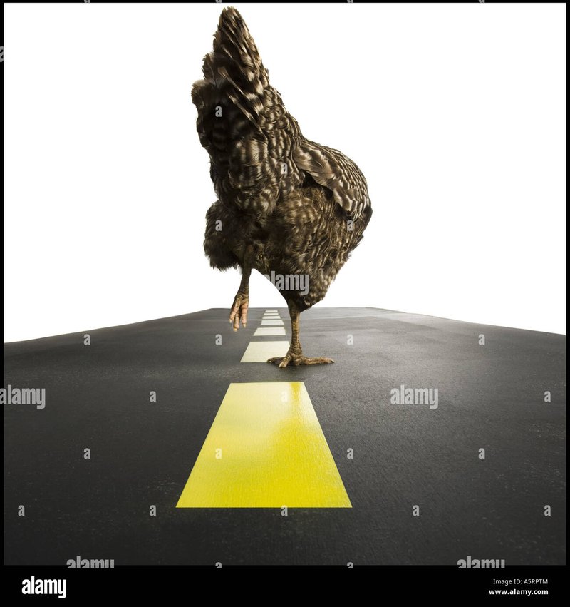 Chicken road spiel casino in Germany Chicken road spiel casino in Germany