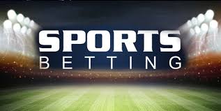 Everything You Need to Know About Betwinner 869606848