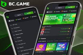 Exploring BC.Game Mirror Links Your Gateway to Endless Gaming