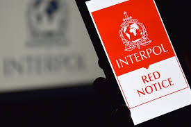 Understanding Interpol Red Notice Removal A Comprehensive Guide 1341805973